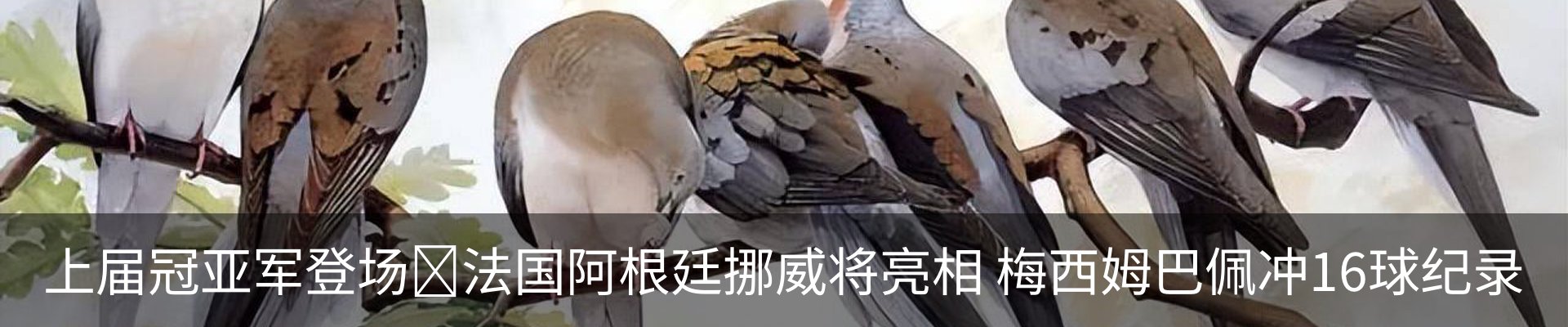 行业资讯